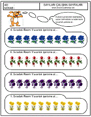 sıralama kavramına örnek çalışmalar